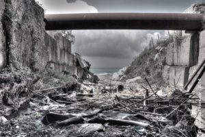 costituzione_paesaggio
