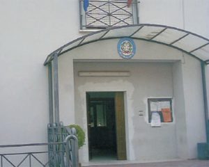 platania