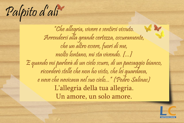 palpito_d_ali_0022