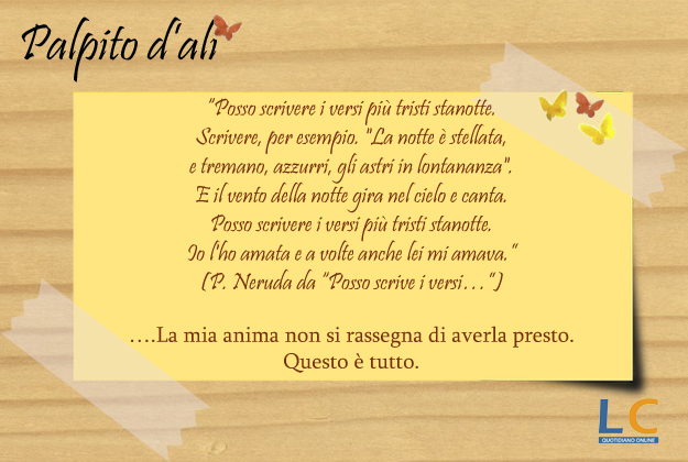 palpito_d_ali_0025