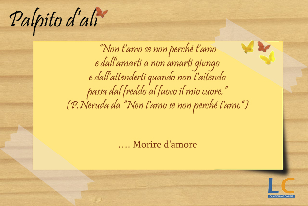 palpito_d_ali_0028