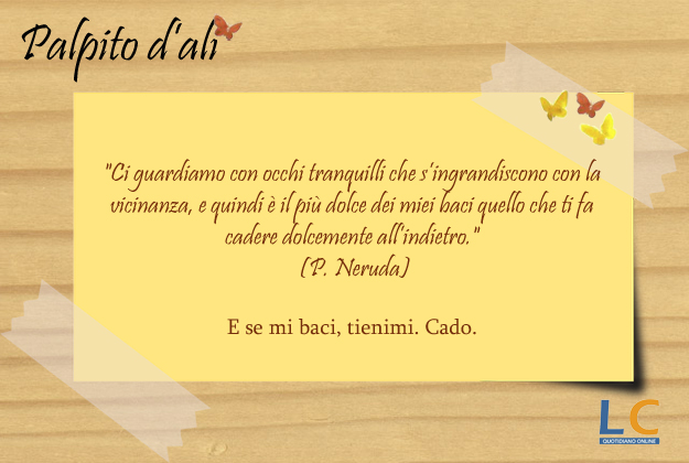 palpito_d_ali_0029