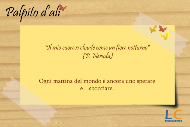 palpito_d_ali_0030