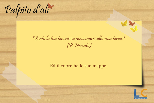 palpito_d_ali_0031