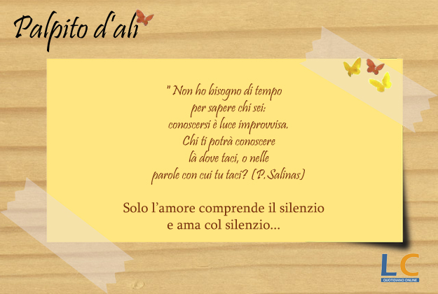 palpito_d_ali_008