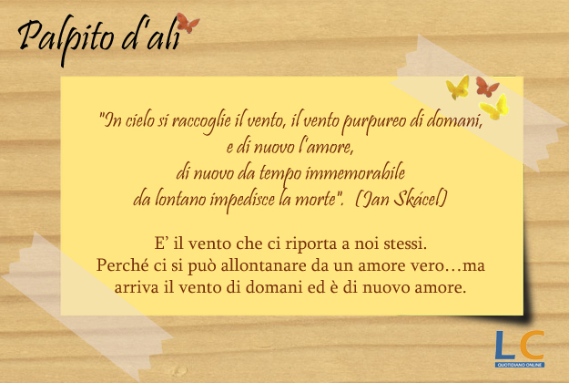 palpito_d_ali_0038