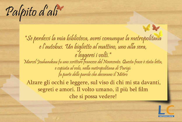 palpito_d_ali_0039