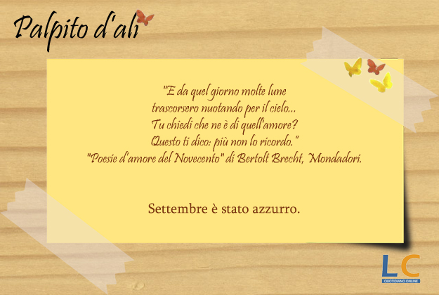 palpito_d_ali_43x