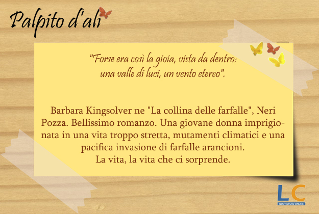 palpito_d_ali_48x