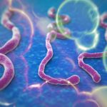 ebola