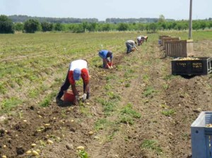lavoro_sommerso