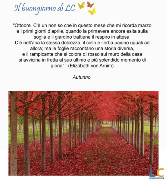 page_buongiorno_da_lc_00x