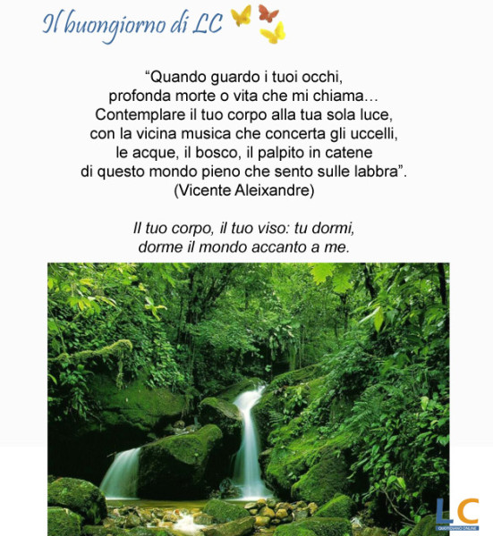 page_buongiorno_da_lc_06x