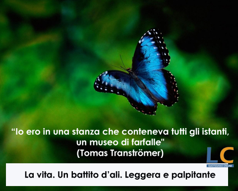 farfalle