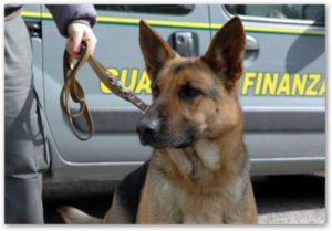 finanza_cane_antidroga_unita_cinofile