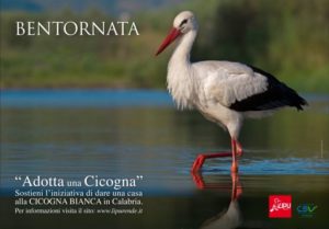Poster adozione Cicogna