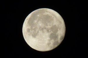 lunapiena