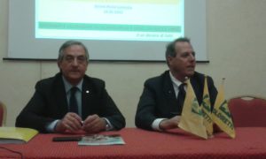 Molinaro_Sonni