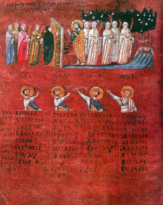 codex_purpureus