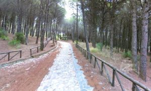 parco_dossi-comuni