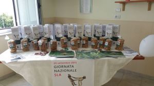 san_vitaliano_viii_giornata_nazionale_sla_1