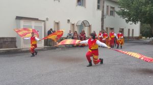 san_vitaliano_viii_giornata_nazionale_sla_2