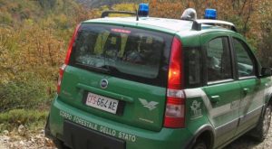 Corpo forestale dello Stato