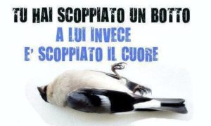 lipu_no_botti