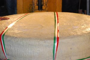 Pecorino