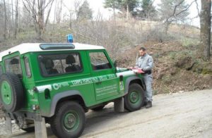 Abusivismo:Parco Sila, sequestrate opere realizzate senza autorizzazione