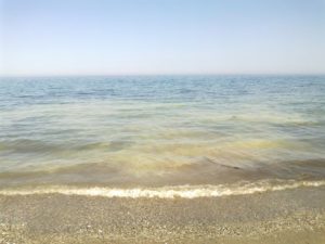 mare_sporco